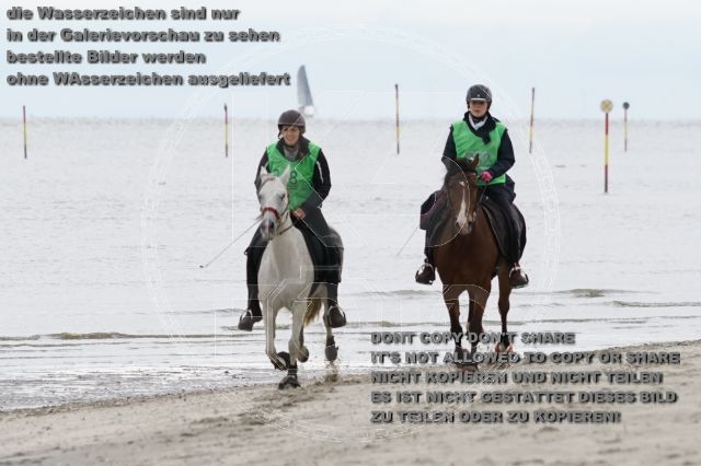 s_K3F04685.JPG